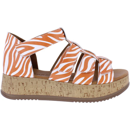 Adesso Morgana apricot