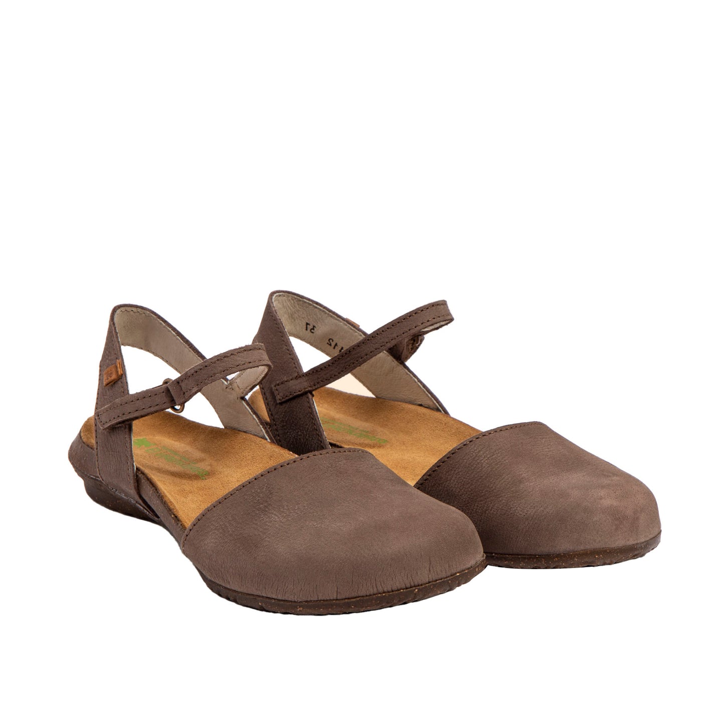 El Naturalista N412 Pleasant Plume