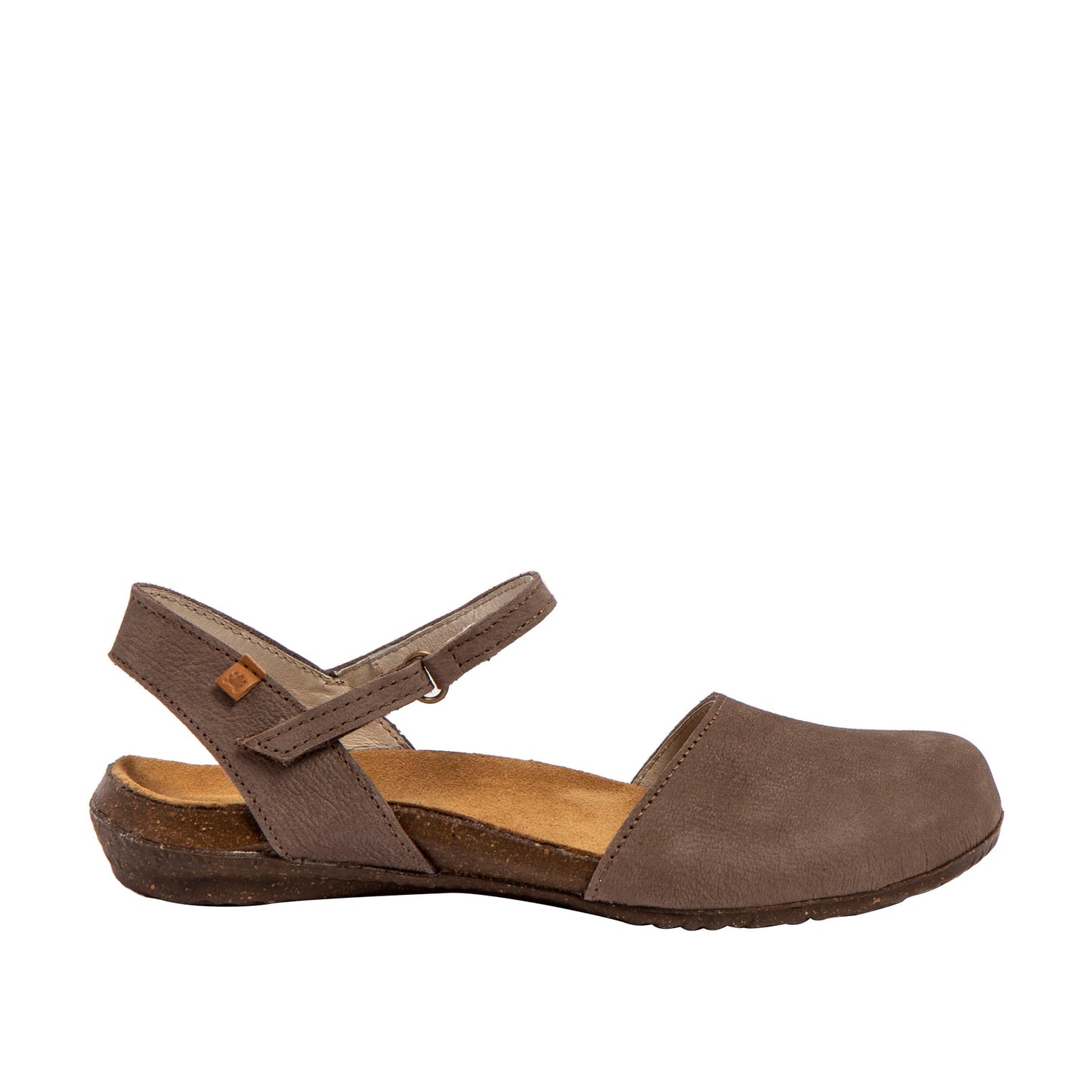 El Naturalista N412 Pleasant Plume
